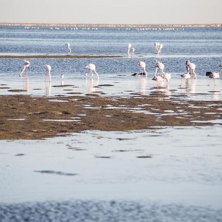Flamingo Villas Boutique Hotel Walvis Bay Bagian luar foto