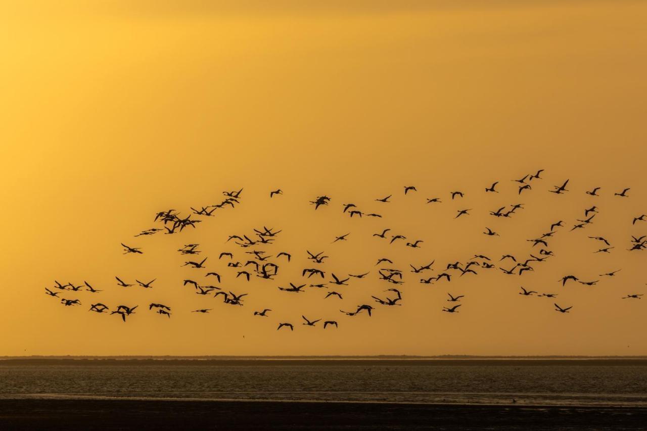 Flamingo Villas Boutique Hotel Walvis Bay Bagian luar foto