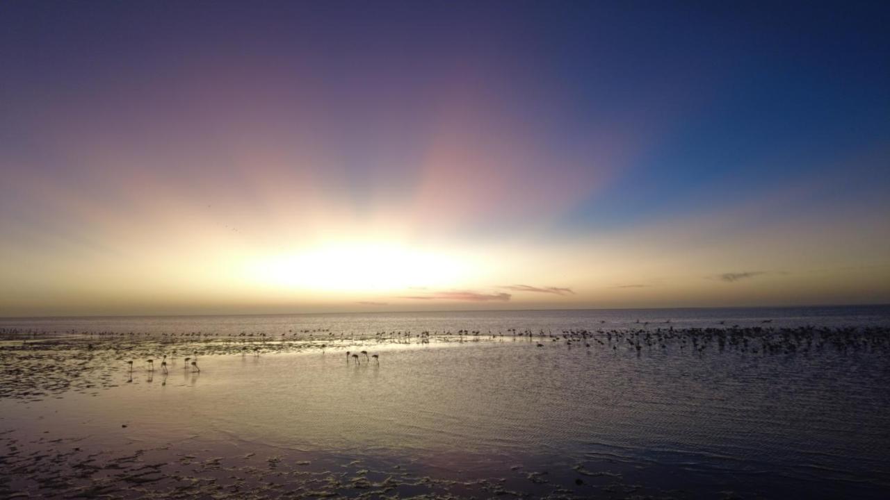 Flamingo Villas Boutique Hotel Walvis Bay Bagian luar foto