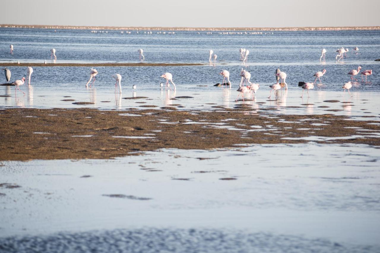 Flamingo Villas Boutique Hotel Walvis Bay Bagian luar foto