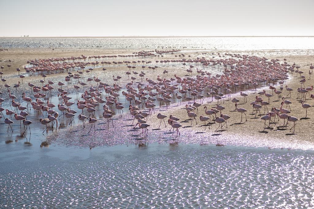 Flamingo Villas Boutique Hotel Walvis Bay Bagian luar foto